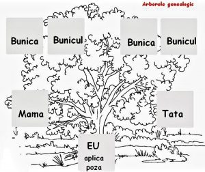 Arbore genealogic
